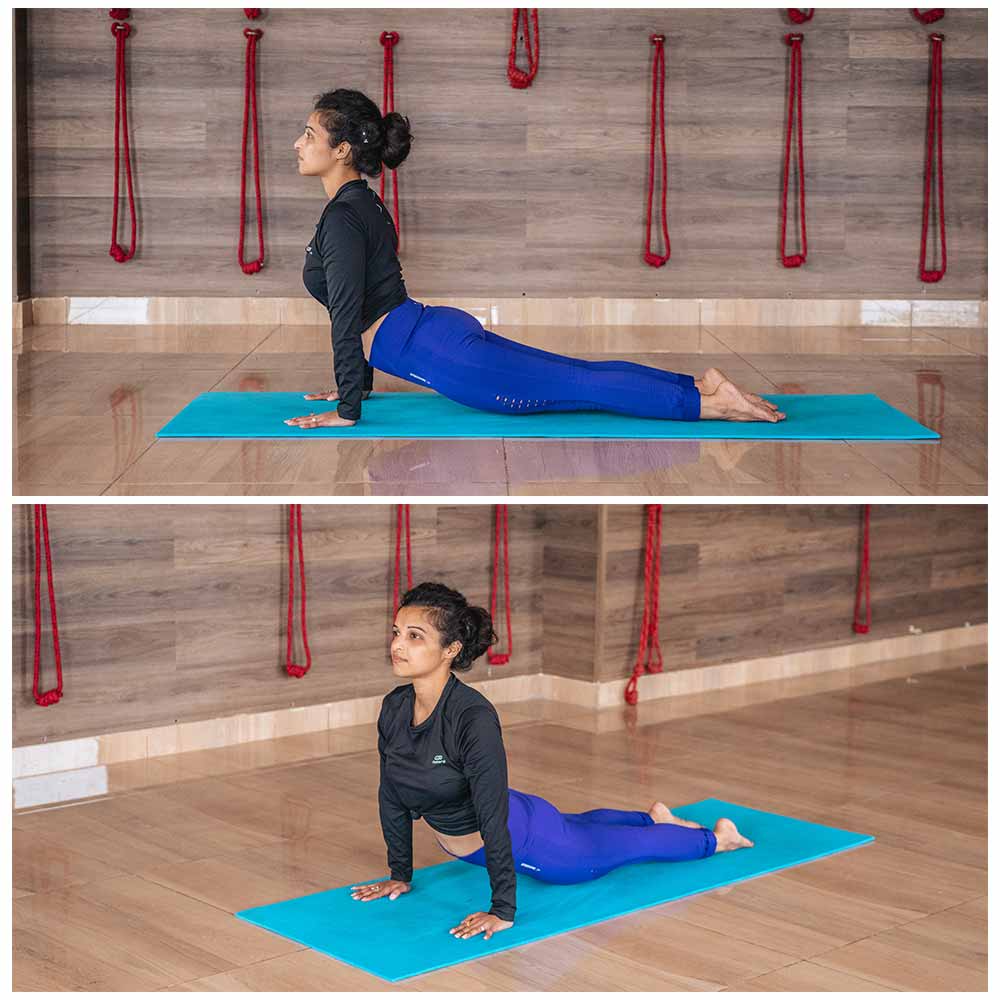 upward facing dog yoga pose